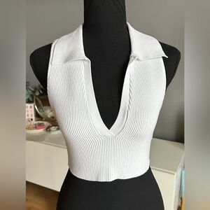 Aritzia Babaton Sculpt Knit Polo